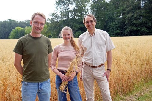 Geringere Jodzufuhr durch den Wechsel von Kuhmilch zu Haferdrinks