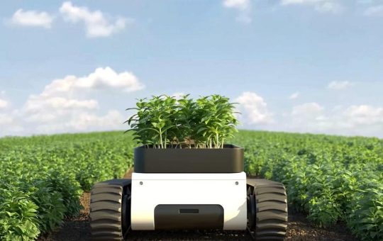 Projekt „RISE“ stärkt Innovation und Nachhaltigkeit in der Lebensmittelbranche der Donauregion