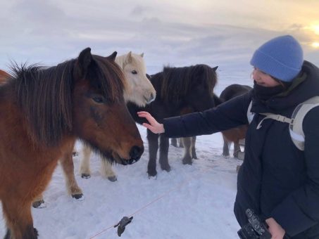 Interkulturelle Programme im Ausland: Ranch-Alltag auf Island oder in Skandinavien erleben