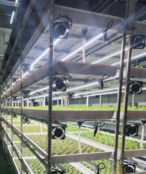 Vertical Farming als Zukunftsmodell: Wie industrielle Prozesse die Landwirtschaft effizienter, nachhaltiger und skalierbarer machen