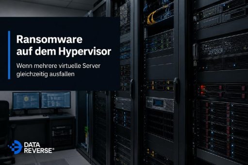 Ransomware auf dem Hypervisor: Wenn mehrere virtuelle Server gleichzeitig ausfallen