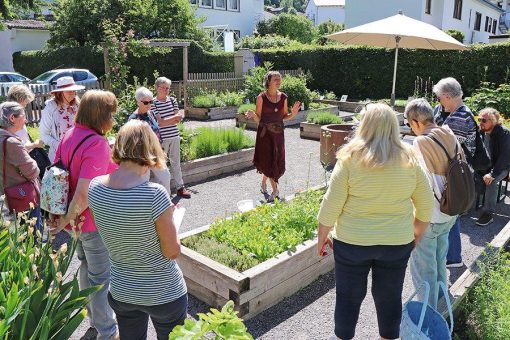 Kräuter-Workshop im Klostergarten am 28. August