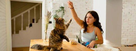 Hundeschule & Katzentraining – Die wichtigsten Vorteile für Tier und Halter