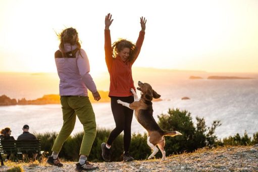 Vier Pfoten, zwei Füße, ein Rucksack: Wanderurlaub mit Hund