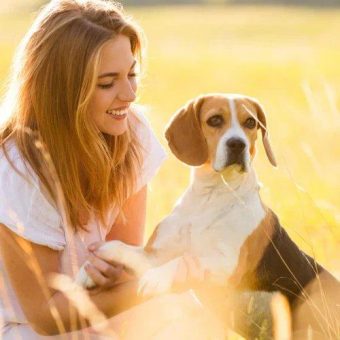 Sonnenschutz für Haustiere – So kommen Hund und Katze sicher durch den Sommer