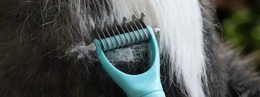 Perfekte Fellpflege mit der emmi-pet H1 – Für gesundes Unterfell ohne Verfilzungen