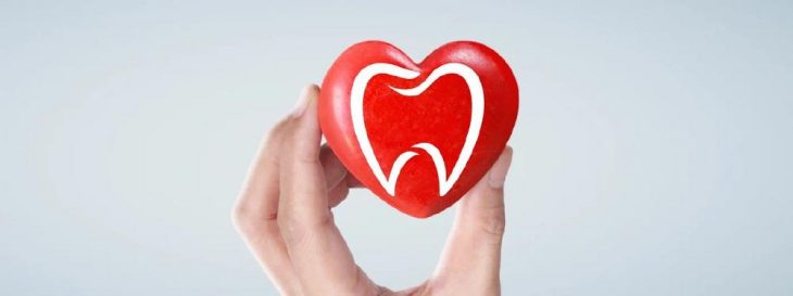 Zahnfleisch und Herzgesundheit – Warum gute Mundpflege so entscheidend ist