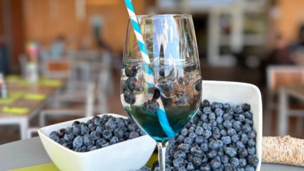 Heidelbeerzeit im ANDERS Hotel Walsrode: So schmeckt der Sommer in der Lüneburger Heide