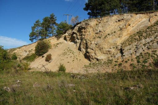 Geoparkführung am Geotop Glaubenberg bei Harburg-Großsorheim