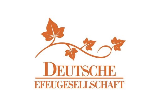Efeutage im Schlosspark Dennenlohe