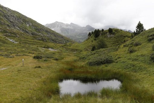 Tausend Facetten des Tessiner Herbstes