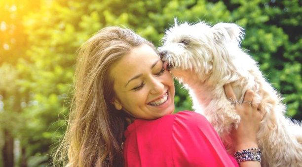 Zwischen Kuschelstunde und Geruchsschock: Mundgeruch beim Hund ernst nehmen