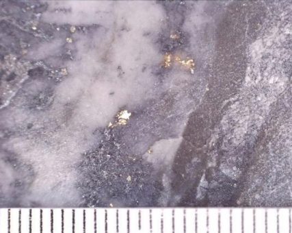 Southern Cross Gold bohrt 0,6 m @ 972 g/t Gold bei Apollo und erbohrt die östlichste Mineralisierung