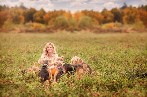 Goldener Gartenherbst in Bayern – das Bayerische Gartennetzwerk verlängert die Gartensaison