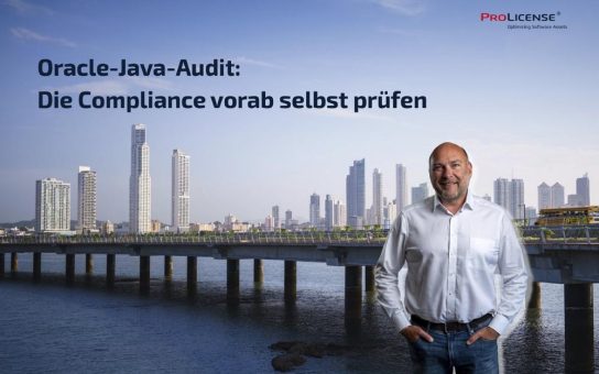 Oracle-Java-Audit: die Compliance vorab selbst prüfen