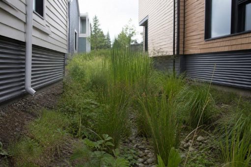 Grauwassernutzung kann 30 bis 40 Prozent des Trinkwassers im Haus ersetzen: Fraunhofer legt Ergebnisse aus einem Wohnquartier vor