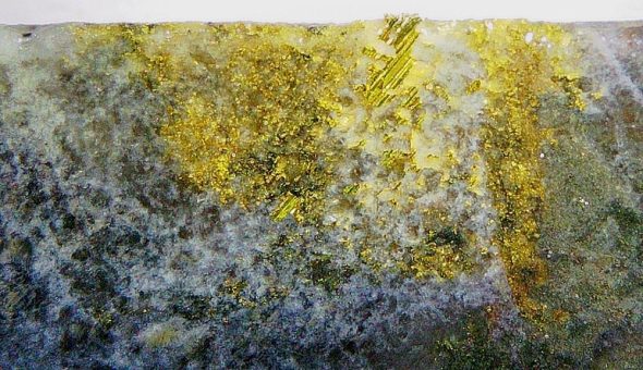 Emperor Metals: 37,9 g/t Gold nahe der Oberfläche – Tagebau rückt näher!