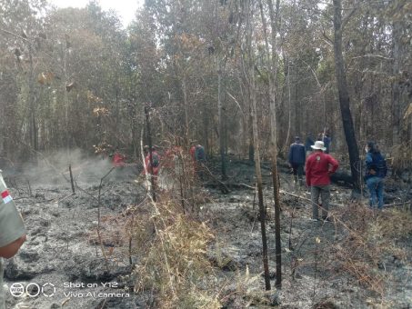 Soforthilfe für Gemeinden angesichts schwerer Wald- und Torfbrände in Kalimantan