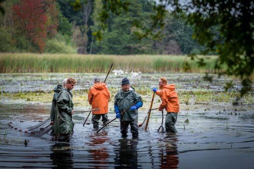 Abgefischt und aufgetischt: 25. Lausitzer Fischwochen sind gestartet
