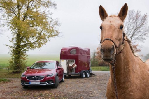 Traumwagen nach Maß: Der Opel Insignia Exclusive