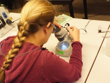 Samtgemeinde Land Hadeln: Zweitägiger Praxisworkshop im MoorIZ