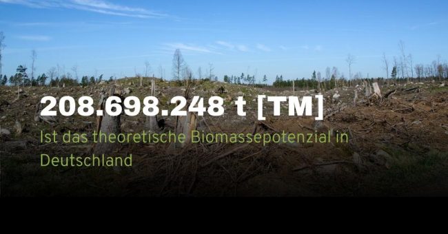 Biomasse neu denken: Regionale Stoffströme als Quelle für Energie und wertvolle Rohstoffe
