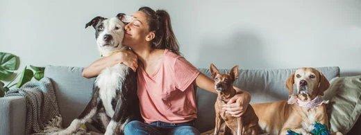 Gesundheitscheck für Hunde: So checkst du dein Tier ganz einfach zu Hause