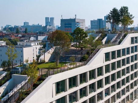 Kapillarität im Retentionsdach: Das Original von Optigrün. Seit Jahrzehnten bewährt. Kontinuierlich weiterentwickelt.