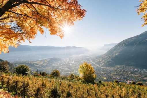 Algund erhält Nachhaltigkeitslabel Südtirol Level 2